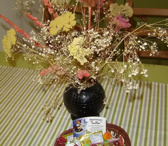 아파트먼트 루나 아파트