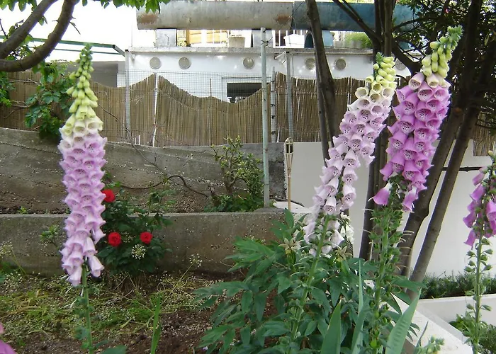 아파트먼트 루나 아파트 *