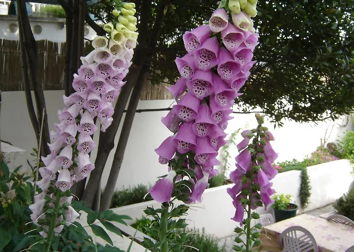 아파트 아파트먼트 루나 *