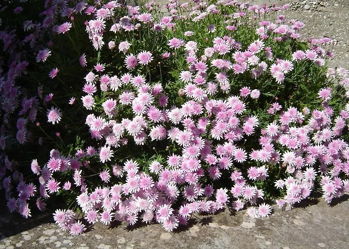 아파트먼트 루나 아파트 흐바르