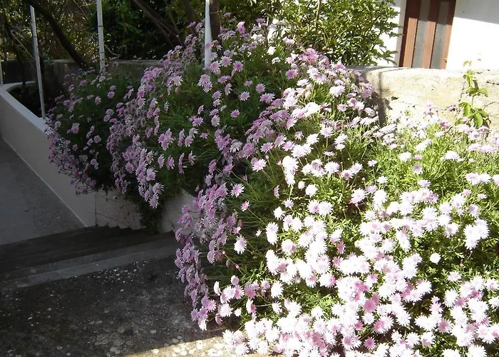 아파트먼트 루나 아파트 흐바르