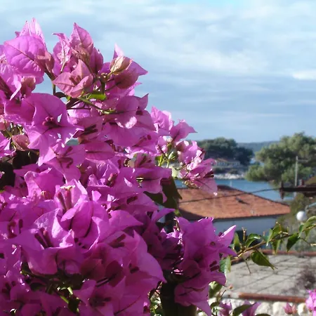 Lägenhet Luna Hvar Town