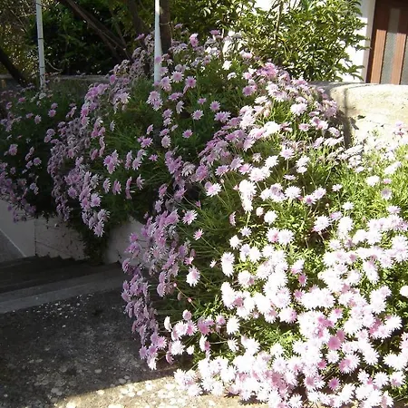 Luna Lägenhet Hvar Town