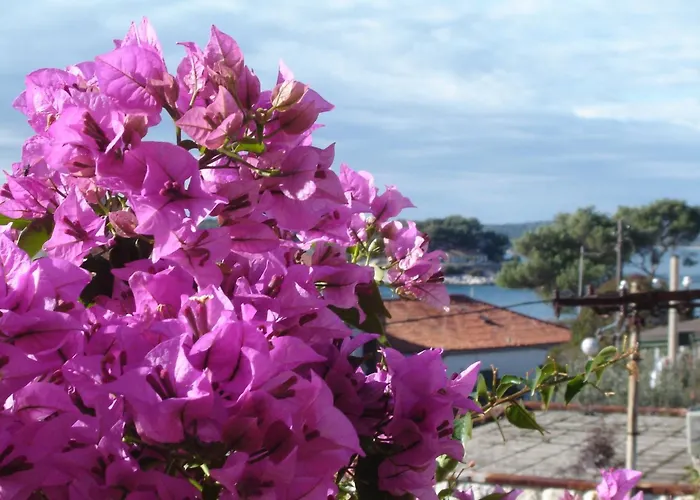 Apartment Luna Hvar Town