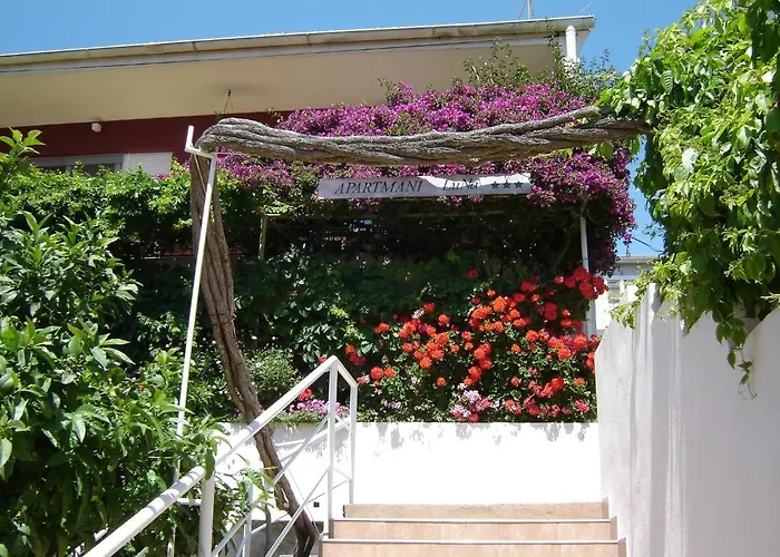 公寓 卢娜公寓旅馆