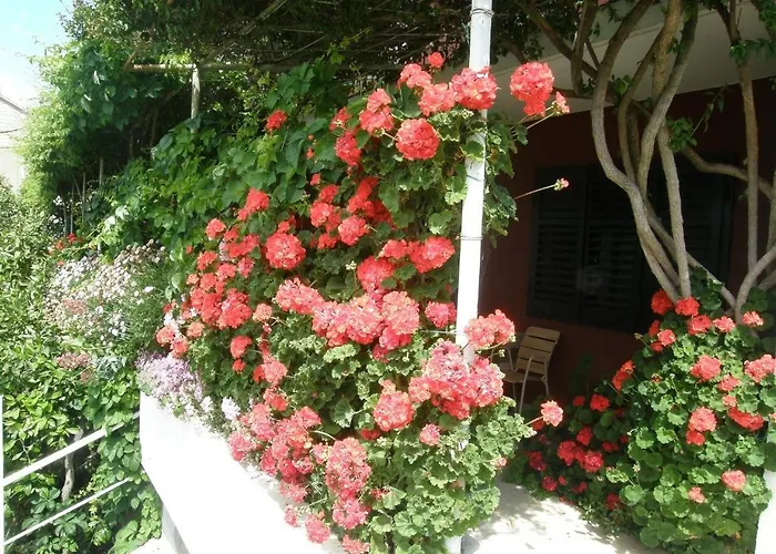 Luna Διαμέρισμα *